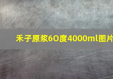 禾子原浆6O度4000ml图片