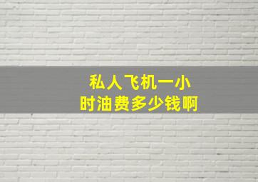 私人飞机一小时油费多少钱啊