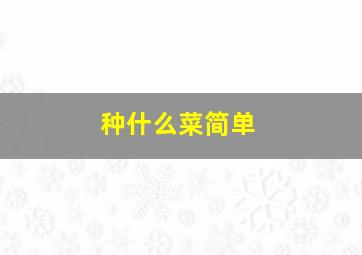 种什么菜简单