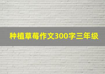 种植草莓作文300字三年级