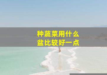 种蔬菜用什么盆比较好一点