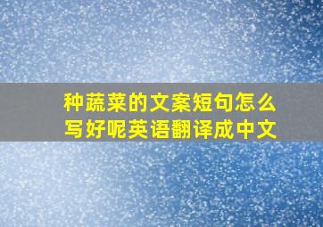 种蔬菜的文案短句怎么写好呢英语翻译成中文