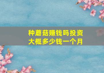 种蘑菇赚钱吗投资大概多少钱一个月