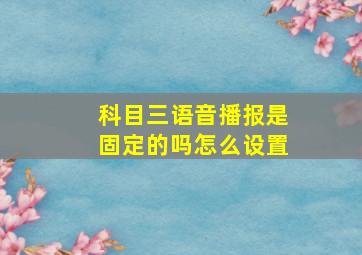 科目三语音播报是固定的吗怎么设置