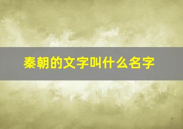 秦朝的文字叫什么名字