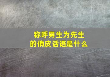 称呼男生为先生的俏皮话语是什么