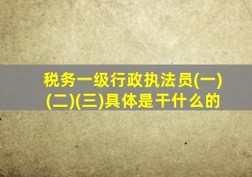 税务一级行政执法员(一)(二)(三)具体是干什么的