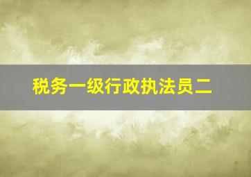 税务一级行政执法员二