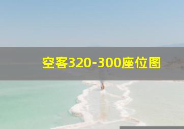 空客320-300座位图