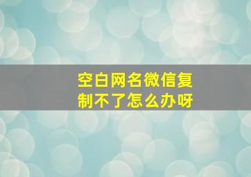 空白网名微信复制不了怎么办呀