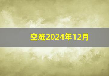 空难2024年12月