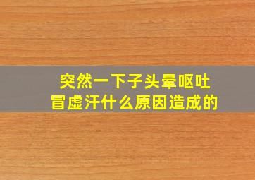 突然一下子头晕呕吐冒虚汗什么原因造成的