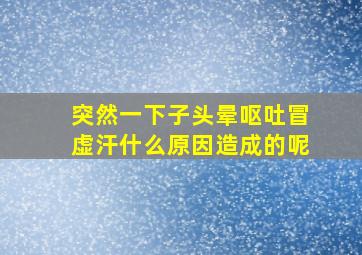 突然一下子头晕呕吐冒虚汗什么原因造成的呢