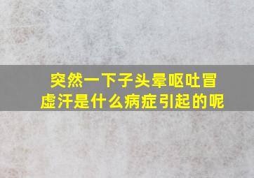 突然一下子头晕呕吐冒虚汗是什么病症引起的呢