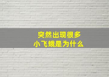 突然出现很多小飞蛾是为什么