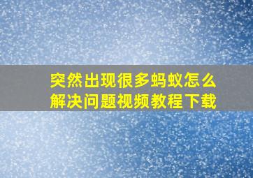 突然出现很多蚂蚁怎么解决问题视频教程下载