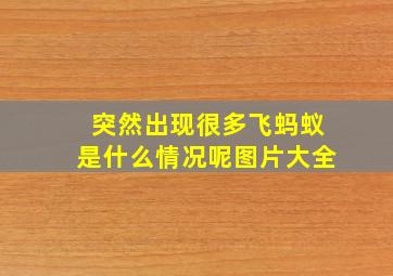 突然出现很多飞蚂蚁是什么情况呢图片大全