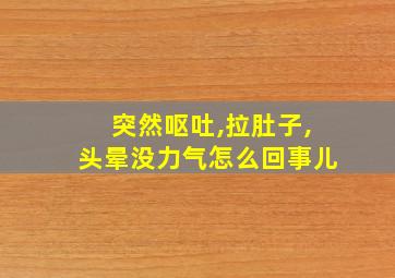 突然呕吐,拉肚子,头晕没力气怎么回事儿