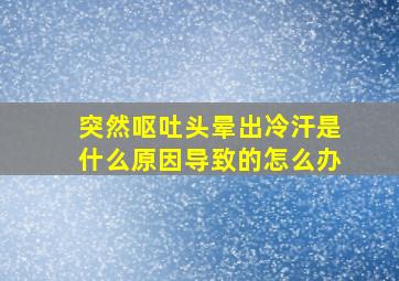 突然呕吐头晕出冷汗是什么原因导致的怎么办