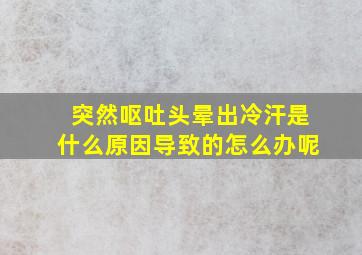 突然呕吐头晕出冷汗是什么原因导致的怎么办呢