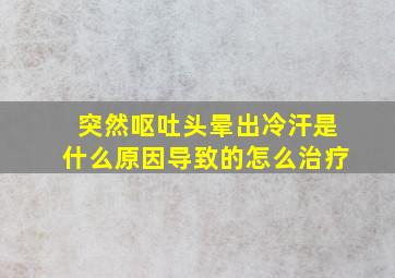 突然呕吐头晕出冷汗是什么原因导致的怎么治疗