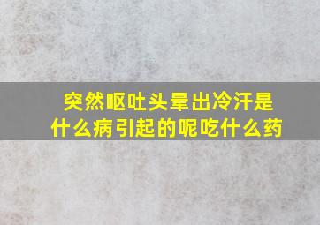 突然呕吐头晕出冷汗是什么病引起的呢吃什么药