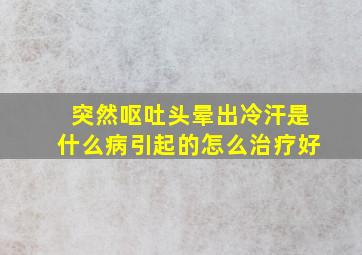 突然呕吐头晕出冷汗是什么病引起的怎么治疗好