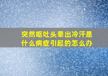 突然呕吐头晕出冷汗是什么病症引起的怎么办