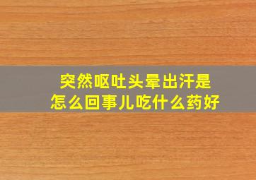 突然呕吐头晕出汗是怎么回事儿吃什么药好