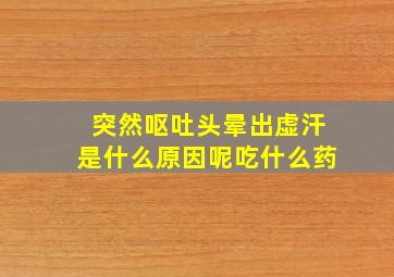 突然呕吐头晕出虚汗是什么原因呢吃什么药