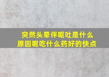 突然头晕伴呕吐是什么原因呢吃什么药好的快点