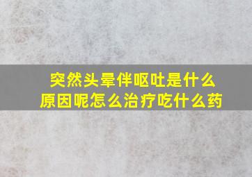 突然头晕伴呕吐是什么原因呢怎么治疗吃什么药