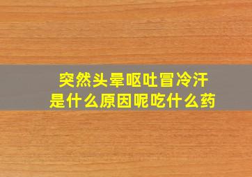 突然头晕呕吐冒冷汗是什么原因呢吃什么药