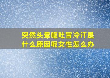 突然头晕呕吐冒冷汗是什么原因呢女性怎么办