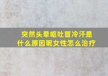 突然头晕呕吐冒冷汗是什么原因呢女性怎么治疗