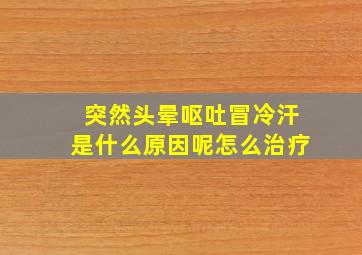 突然头晕呕吐冒冷汗是什么原因呢怎么治疗