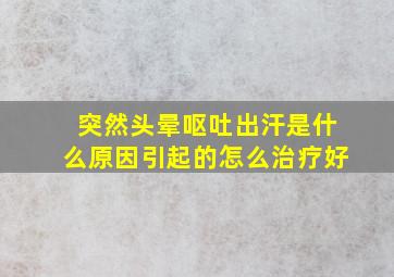 突然头晕呕吐出汗是什么原因引起的怎么治疗好