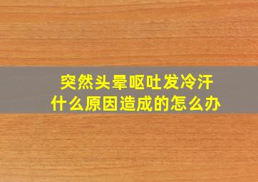 突然头晕呕吐发冷汗什么原因造成的怎么办