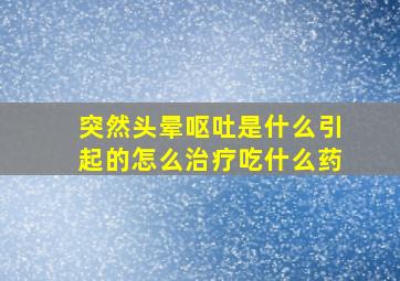 突然头晕呕吐是什么引起的怎么治疗吃什么药