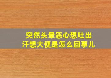 突然头晕恶心想吐出汗想大便是怎么回事儿