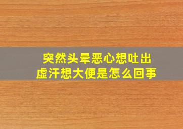 突然头晕恶心想吐出虚汗想大便是怎么回事