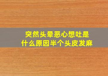 突然头晕恶心想吐是什么原因半个头皮发麻