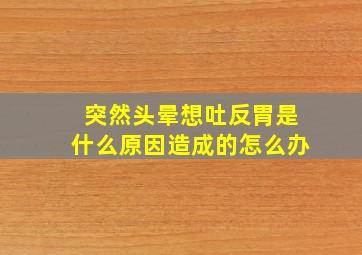 突然头晕想吐反胃是什么原因造成的怎么办