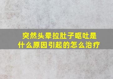 突然头晕拉肚子呕吐是什么原因引起的怎么治疗