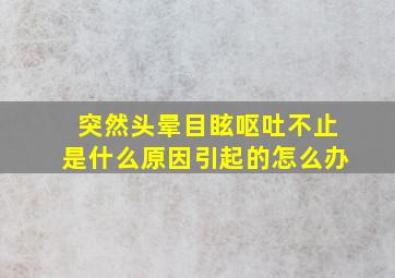 突然头晕目眩呕吐不止是什么原因引起的怎么办