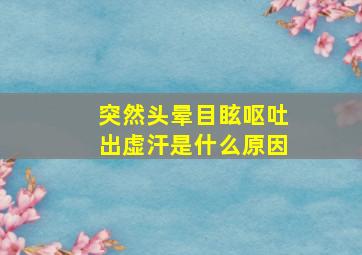 突然头晕目眩呕吐出虚汗是什么原因