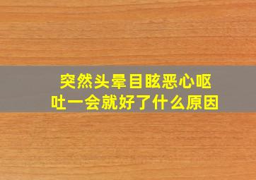 突然头晕目眩恶心呕吐一会就好了什么原因