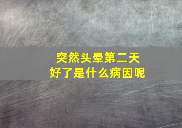 突然头晕第二天好了是什么病因呢