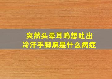 突然头晕耳鸣想吐出冷汗手脚麻是什么病症