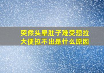 突然头晕肚子难受想拉大便拉不出是什么原因